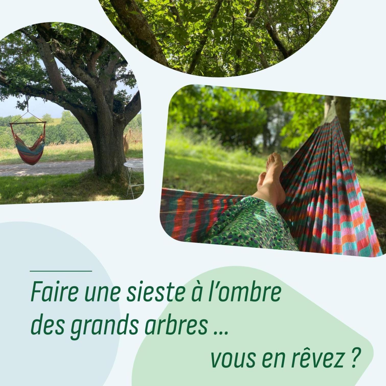 Le Repaire De La Reveuse Bed and Breakfast Saint-Frajou Εξωτερικό φωτογραφία